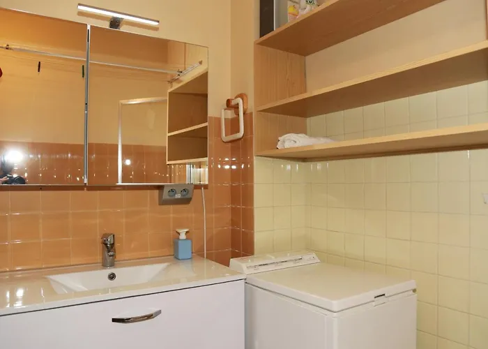 Jandri 4 6 Personnes -38860 Les 2 Alpes - Pied Des Pistes * Ле дез Альп